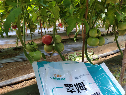 水溶肥，