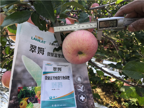 水溶肥，磷酸二氫鉀，微生物菌劑