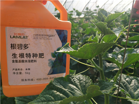拉姆拉，根碧多，微生物菌劑