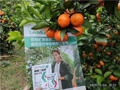 磷酸二氫鉀，鈣肥，硼肥