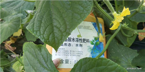水溶肥，翠姆