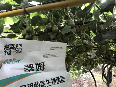 微生物菌劑，平衡顆粒復(fù)合肥，翠姆，拉姆拉