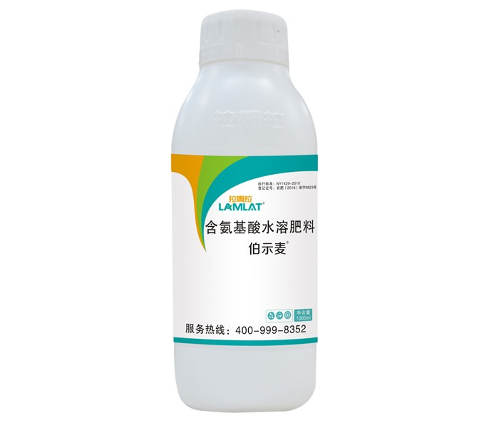 葉面肥，拉姆拉，伯示麥