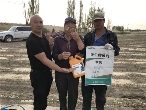 水溶肥，拉姆拉，翠姆