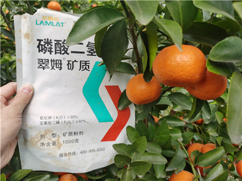 水溶肥，拉姆拉，翠姆