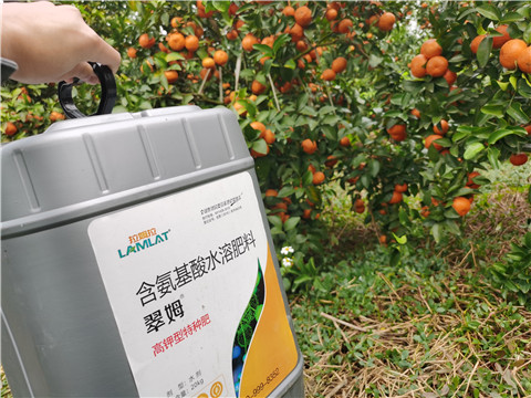 水溶肥，拉姆拉，翠姆
