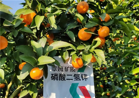 磷酸二氫鉀，拉姆拉，翠姆