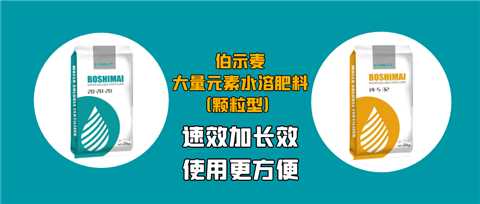 顆粒肥，拉姆拉，翠姆