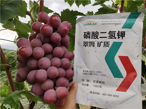 磷酸二氫鉀，拉姆拉，翠姆