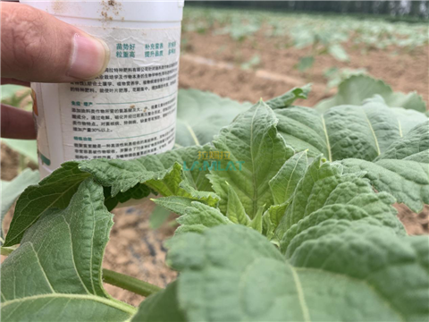 水溶肥，翠姆，拉姆拉