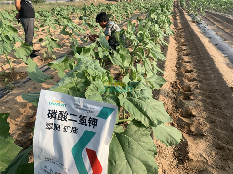 水溶肥，翠姆，拉姆拉