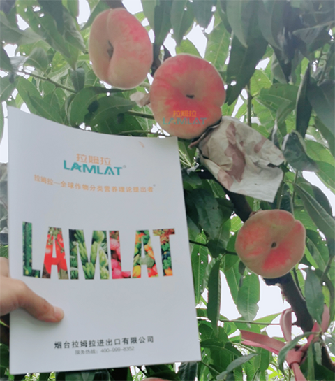 水溶肥，翠姆，拉姆拉
