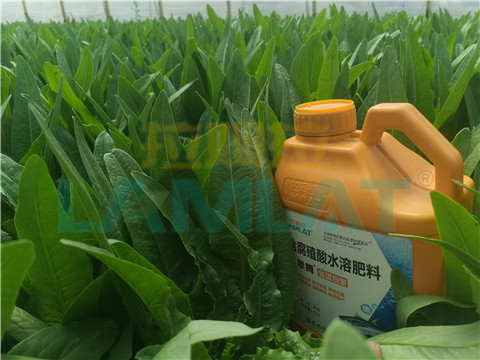 水溶肥，翠姆，拉姆拉