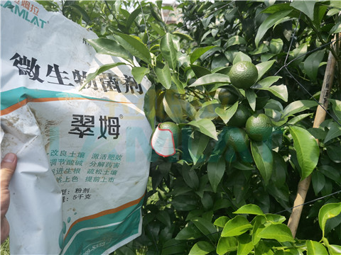 微生物菌劑，翠姆，拉姆拉
