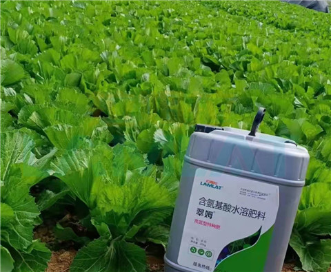 水溶肥，翠姆，拉姆拉