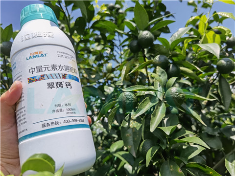 水溶肥，拉姆拉，翠姆