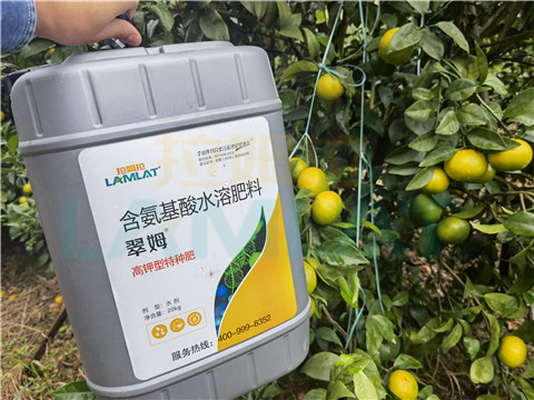 水溶肥，拉姆拉，翠姆