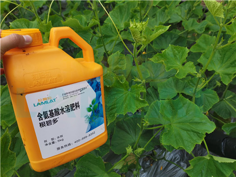 水溶肥，拉姆拉，翠姆