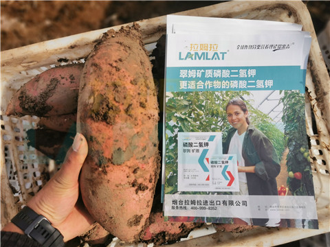 水溶肥，拉姆拉，翠姆