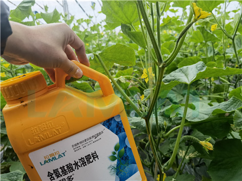 生根劑，拉姆拉，翠姆