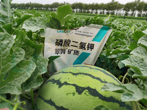 水溶肥，拉姆拉，翠姆