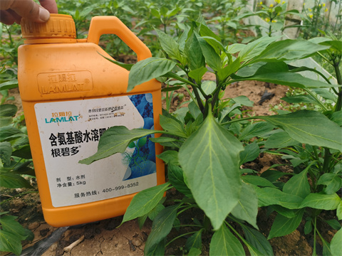 水溶肥，翠姆，拉姆拉