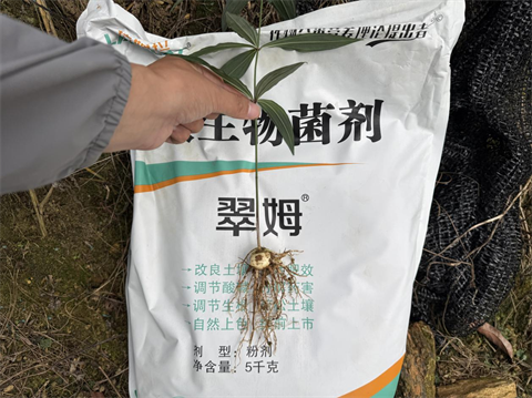 水溶肥品牌,黃精種植,拉姆拉滴灌級特種肥